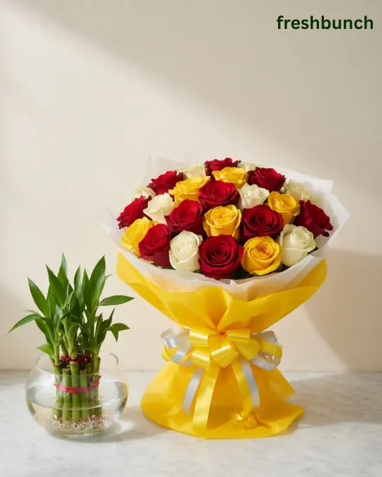 Vibrant Mixed Roses Bouquet & Lucky Bamboo Combo