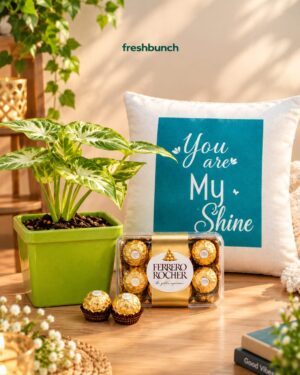 FreshBunch You Are My Sunshine Cushion Indoor Plant & Ferrero Rocher Gift Hamper