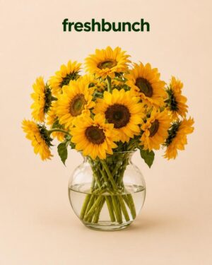 FreshBunch Bright Sunshine Sunflowers Premium Clear Glass Vase Arrangement