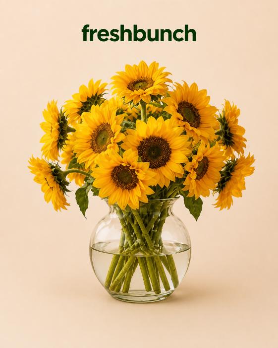 FreshBunch Bright Sunshine Sunflowers Premium Clear Glass Vase Arrangement