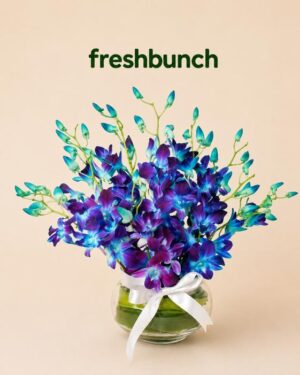 FreshBunch Exotic Blue Orchids Premium Glass Vase Arrangement