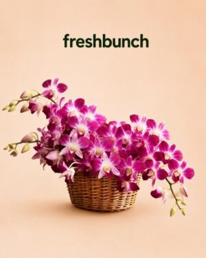 FreshBunch Exotic Purple Orchids Premium Cane Basket Arrangement