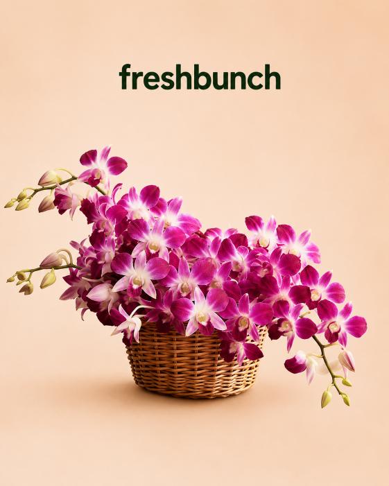 FreshBunch Exotic Purple Orchids Premium Cane Basket Arrangement