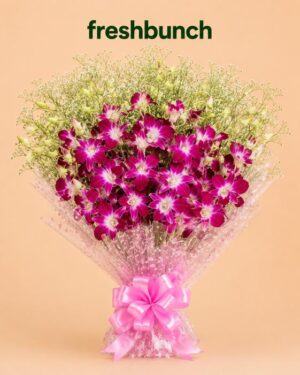 FreshBunch Premium Purple Orchids & Dense Baby's Breath Luxury Bouquet