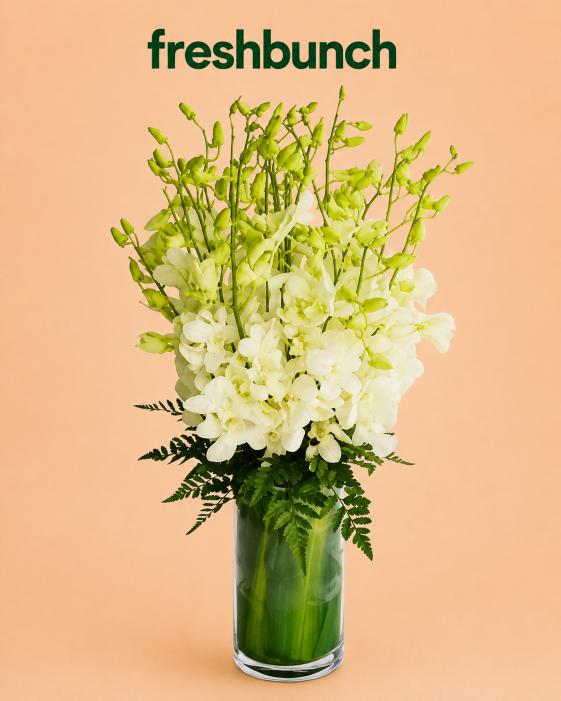 FreshBunch Pristine White Exotic Orchids Premium Glass Vase Arrangement