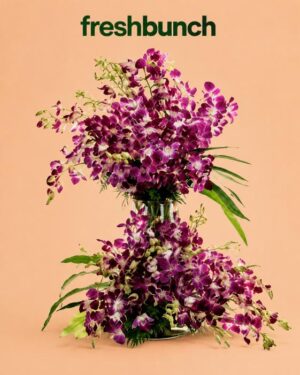 FreshBunch Double-Tier Royal Purple Orchids Premium Glass Vase Arrangement