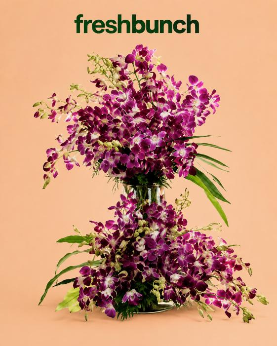 FreshBunch Double-Tier Royal Purple Orchids Premium Glass Vase Arrangement