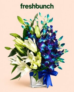 FreshBunch Royal White Lilies & Exotic Blue Orchids Premium Glass Cube Arrangement