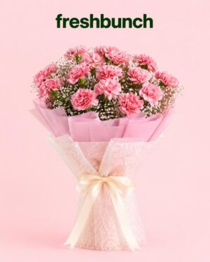FreshBunch Blush Pink Carnations & Dreamy Baby Breath Classic Bouquet