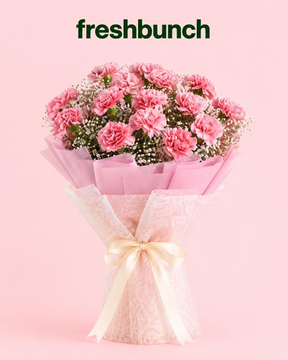 FreshBunch Blush Pink Carnations & Dreamy Baby Breath Classic Bouquet