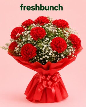 FreshBunch Passionate Red Carnations & Elegant Baby Breath Classic Bouquet
