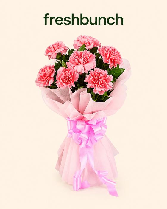 FreshBunch Delightful Pink Carnations Classic Hand-Tied Bouquet