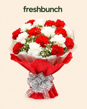FreshBunch Royal Red & Pristine White Carnations Elegant Bouquet
