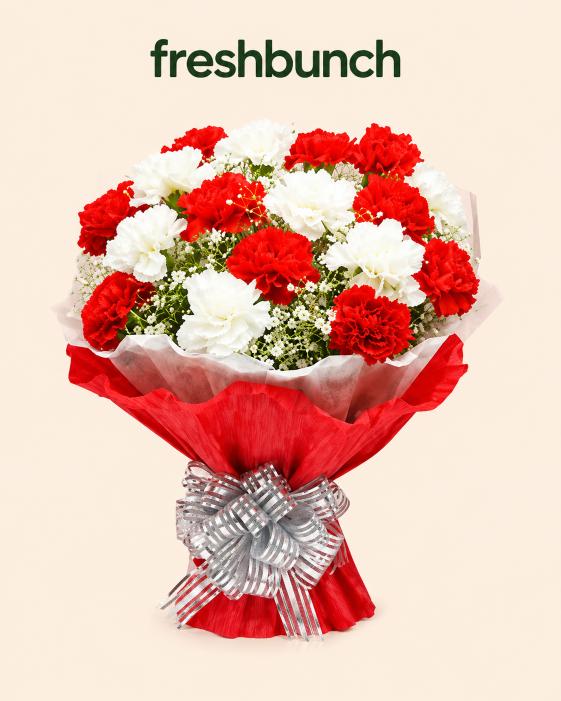 FreshBunch Royal Red & Pristine White Carnations Elegant Bouquet