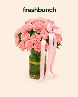 FreshBunch Blush Pink Carnations Elegant Glass Vase Arrangement
