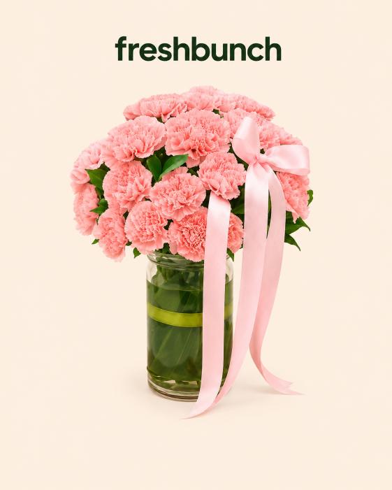 FreshBunch Blush Pink Carnations Elegant Glass Vase Arrangement
