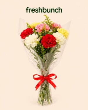 FreshBunch Colorful Carnations Mixed Daily Delight Bouquet