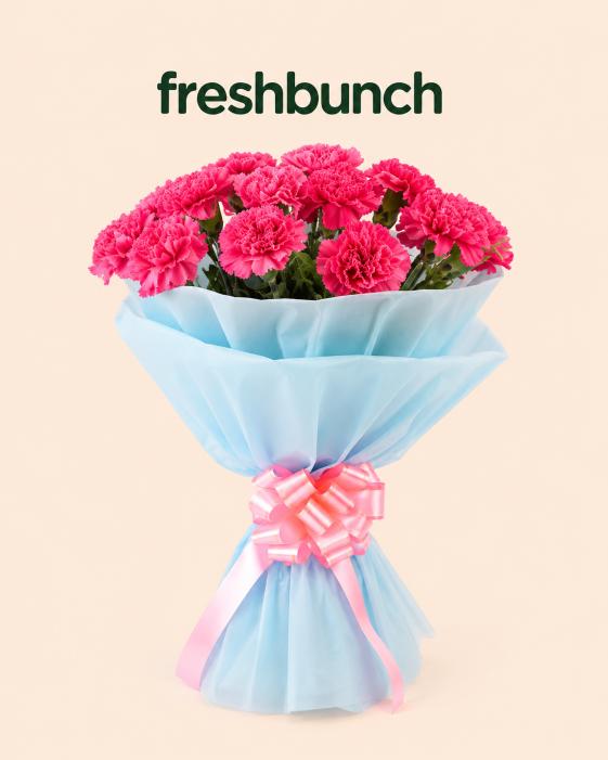 FreshBunch Hot Pink Carnations & Sky Blue Luxury Bouquet