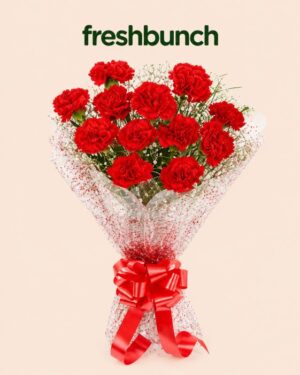 FreshBunch "Red Passion" Premium Carnations & Gypsophila Bouquet
