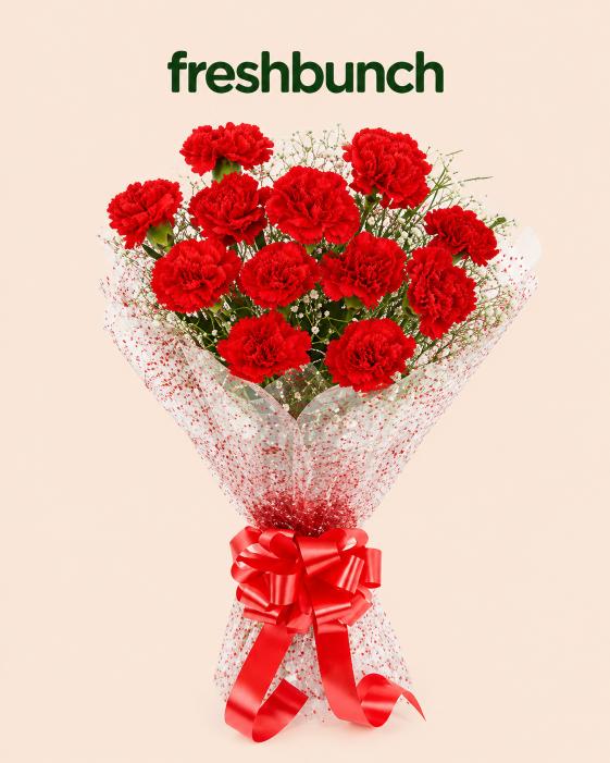 FreshBunch "Red Passion" Premium Carnations & Gypsophila Bouquet