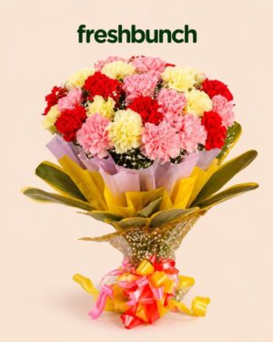 Carnations