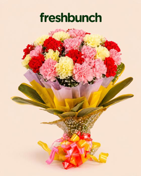 FreshBunch "Carnative Delight" Premium Mixed Carnations Luxury Bouquet
