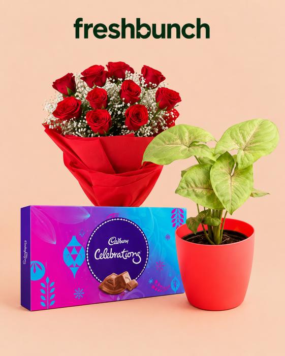 FreshBunch "Everlasting Bond" Red Roses Bouquet, Cadbury Celebrations & Live Plant Mega Combo