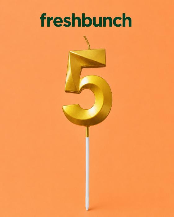 FreshBunch Premium Metallic Golden Number 5 Birthday Cake Candle
