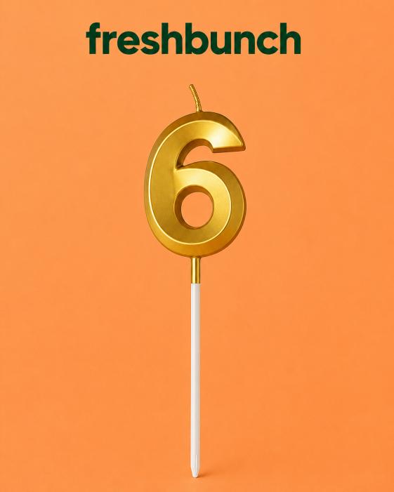 FreshBunch Premium Metallic Golden Number 6 Birthday Cake Candle