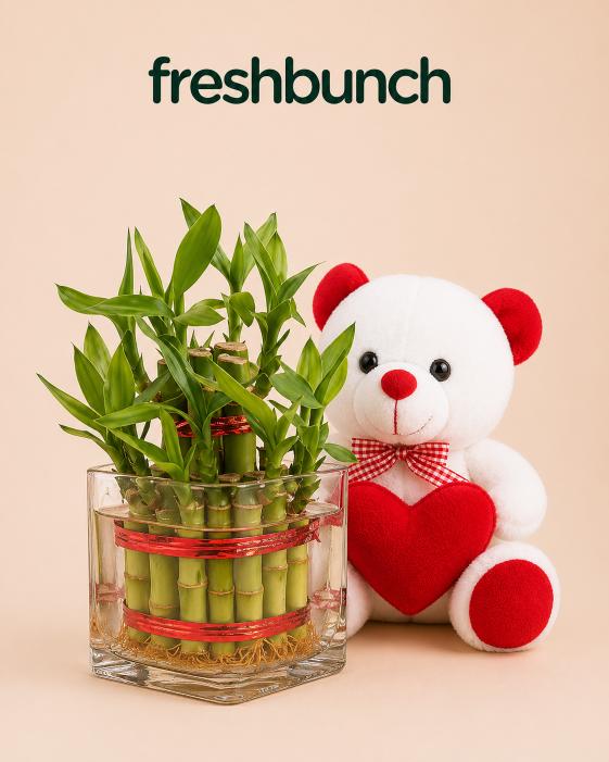 FreshBunch Lucky Bamboo & Red Heart Teddy Combo