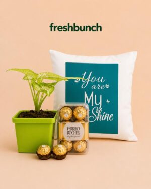 FreshBunch You Are My Sunshine Cushion Indoor Plant & Ferrero Rocher Gift Hamper