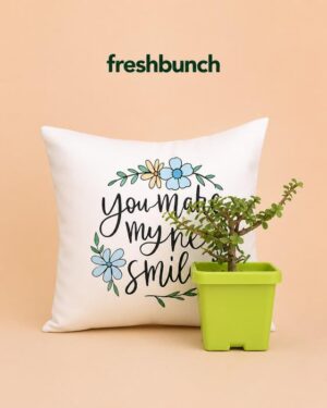 FreshBunch You Make My Heart Smile Cushion & Live Jade Plant Gift Combo Set