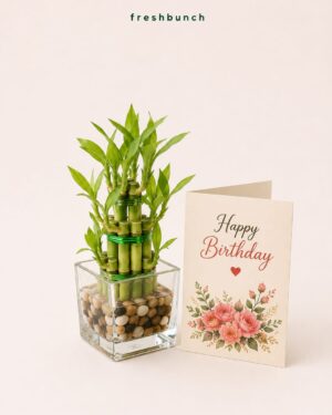Lucky Bamboo Glass Planter with Birthday Card