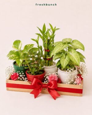 Triple Green Desk Plants Tray Hamper