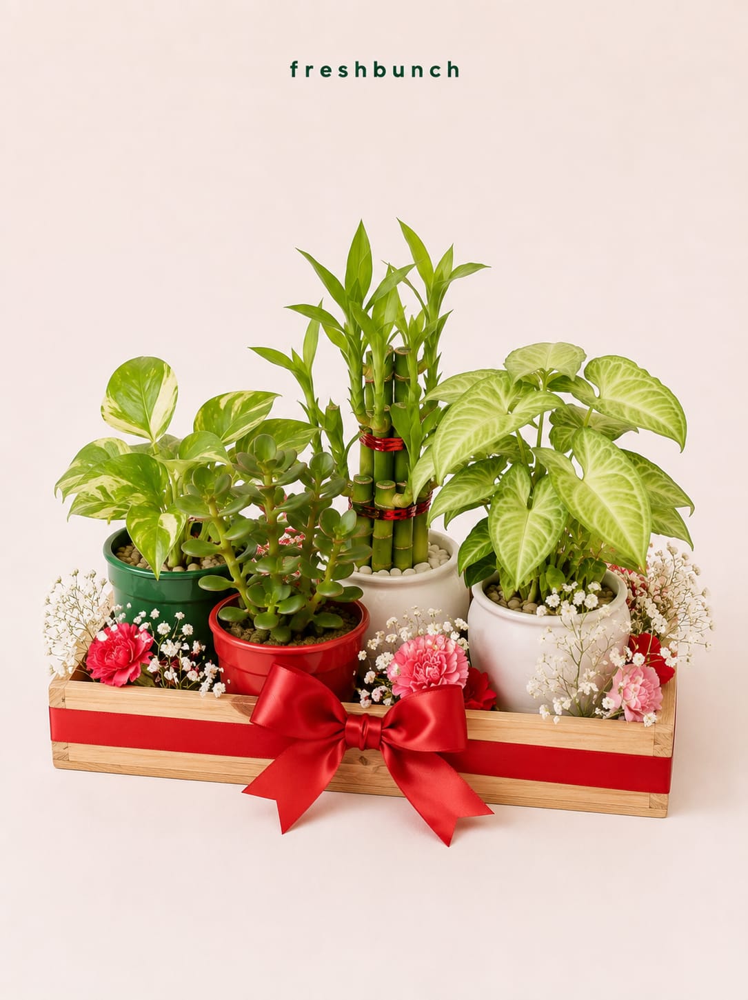 Triple Green Desk Plants Tray Hamper