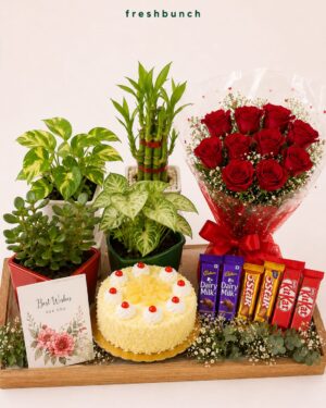 Grand Celebration Flowers Cake & Plants Mega Combo
