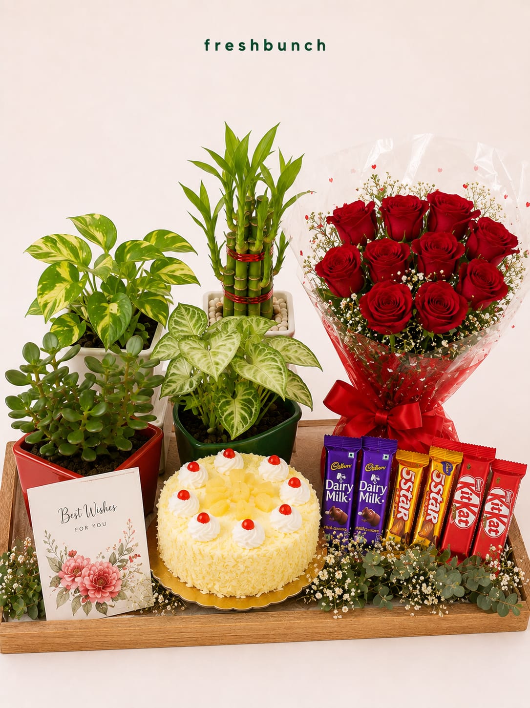 Grand Celebration Flowers Cake & Plants Mega Combo