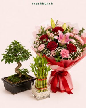 Bonsai Tree with Flowers & Lucky Bamboo Combo