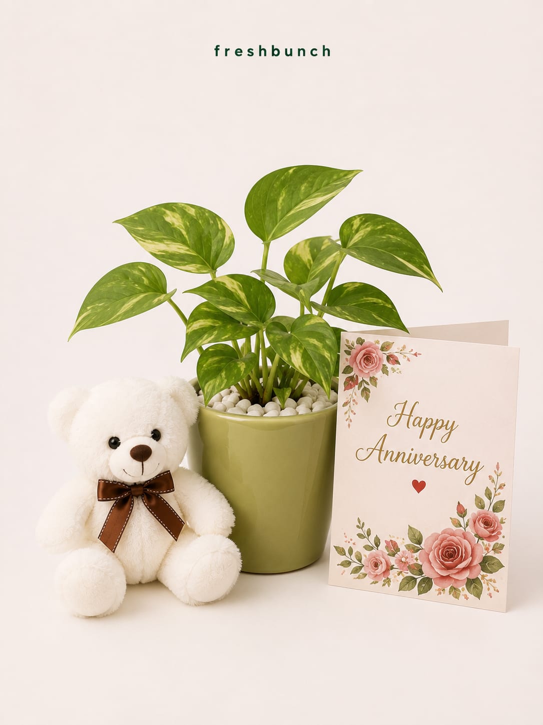 Lush Money Plant & Card Cuddle Set
