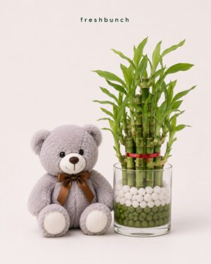 Lucky Bamboo Greenery Hugs