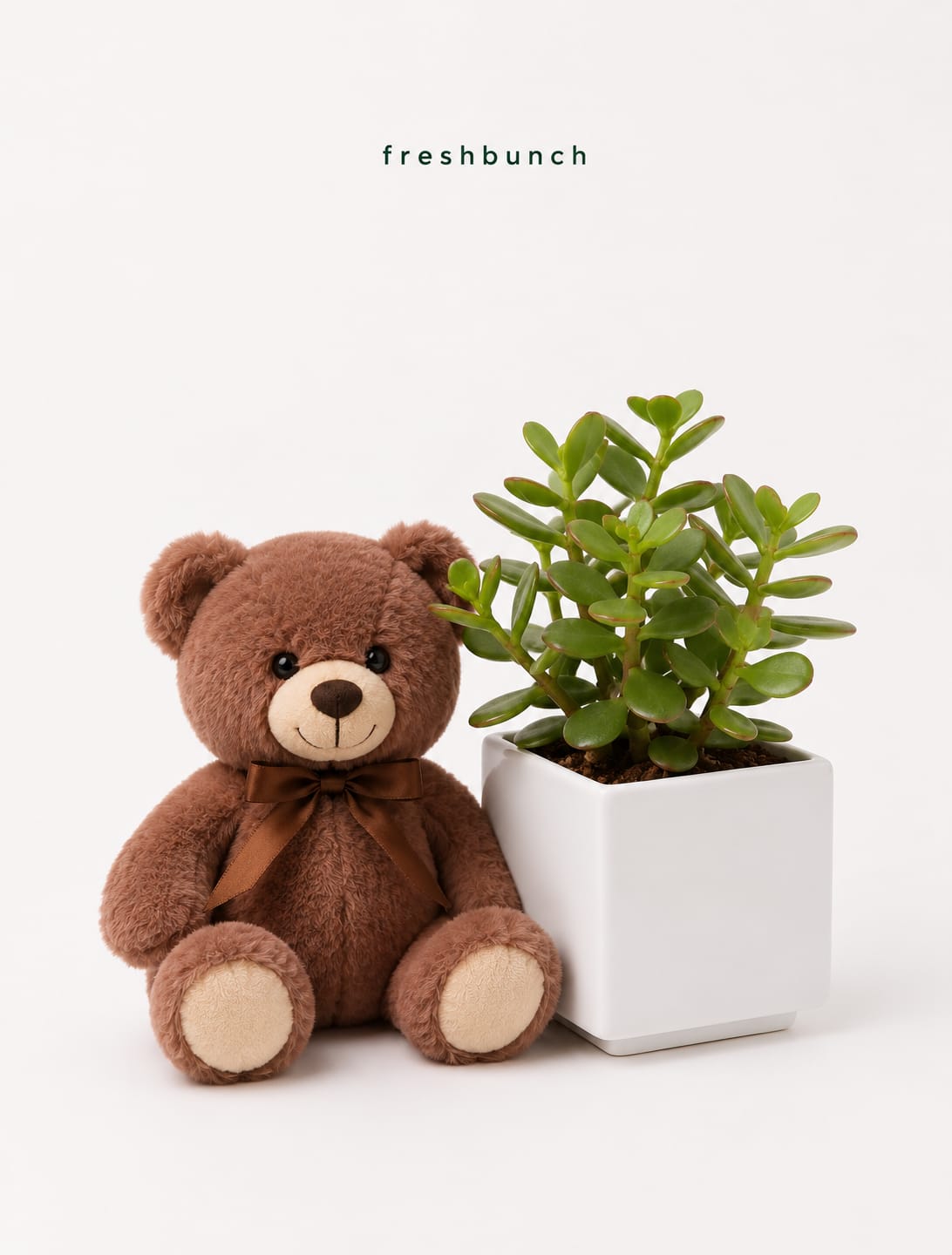 Potted Jade Plant Cuddle Set