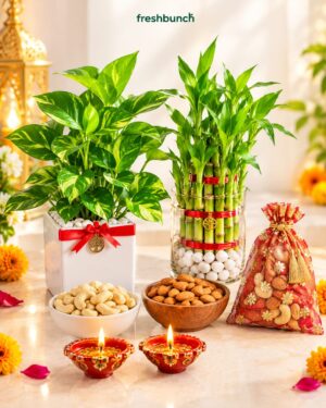 Dual Green Plants & Nutty Delights Diwali Hamper
