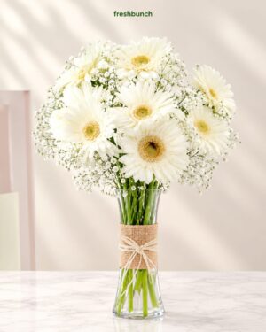 Pure White Gerberas in Glass Vase