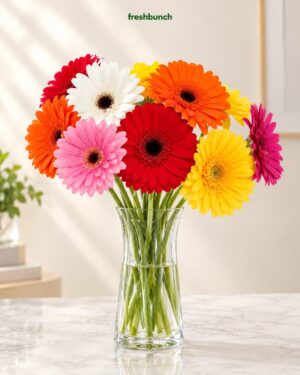 Sunny Mixed Gerberas in Glass Vase